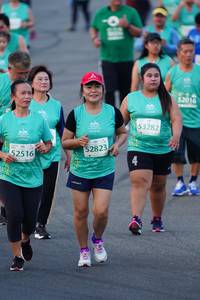 BIB: 2016, 53282, 52823, 52516
                            <button type="button" onclick="openModal(10525466)" class="btn btn-primary btn-sm float-right btn-popup" data-toggle="modal" data-target=".modal-high-quality">
                        <i class="fas fa-shopping-cart"></i> Add to Cart
                    </button>
                                            <button type="button" onclick="isThisMe(10525466, true)" class="btn btn-success btn-sm float-right btn-popup btn-isme hidden" data-toggle="tooltip" data-placement="bottom" title="นี่คือรูปของคุณใช่ไหม คลิกที่นี่เพื่อเอาเข้าอัลบั้ม">
                        <i class="fas fa-plus"></i> Add to album
                    </button>
                    <button type="button" onclick="isThisMe(10525466, false)" class="btn btn-warning btn-sm float-right btn-popup btn-isnotme hidden">
                        <i class="fas fa-ban"></i> Remove from album
                    </button>